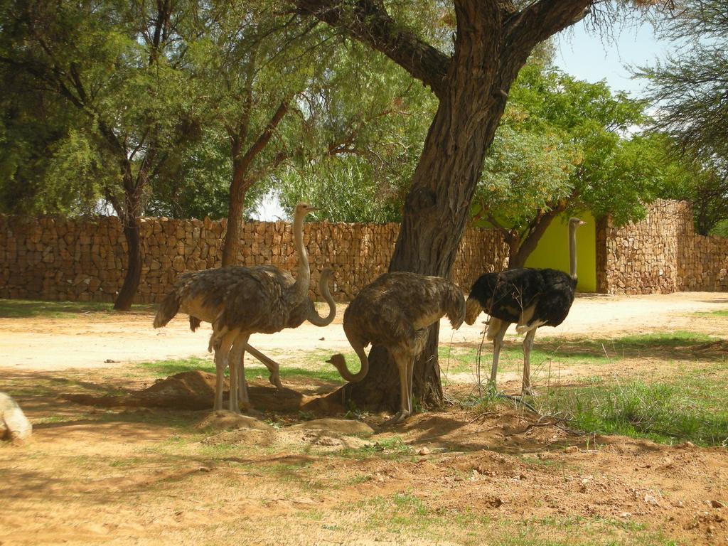 Auas Safari Lodge Windhuk Zewnętrze zdjęcie